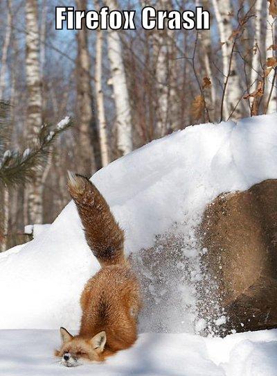 firefox.JPG