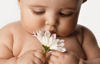 post_25_1240613902.jpg