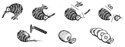 Kiwi.gif