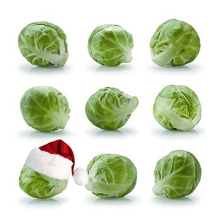 prod19293xmas_eatingsjpg.jpg