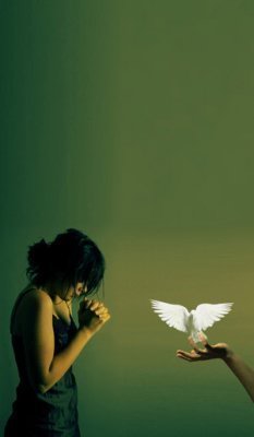 Dove.jpg