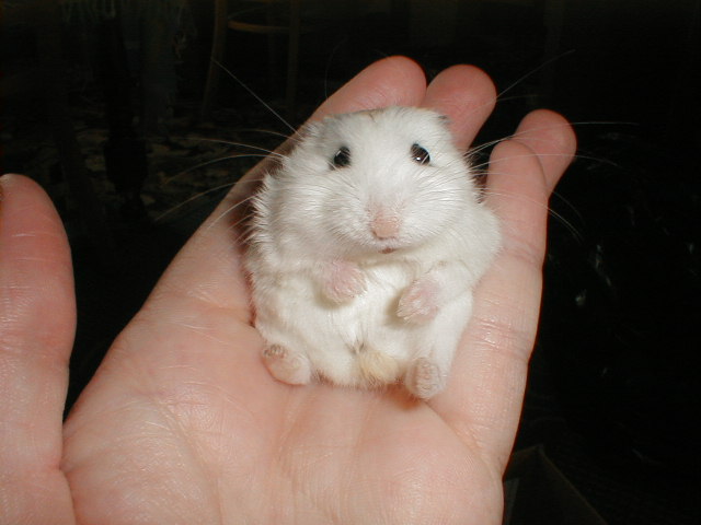 cute.jpg