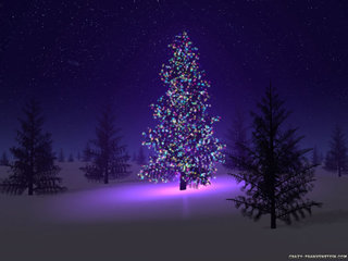 beautifulchristmastree_iasamnisferi.jpg