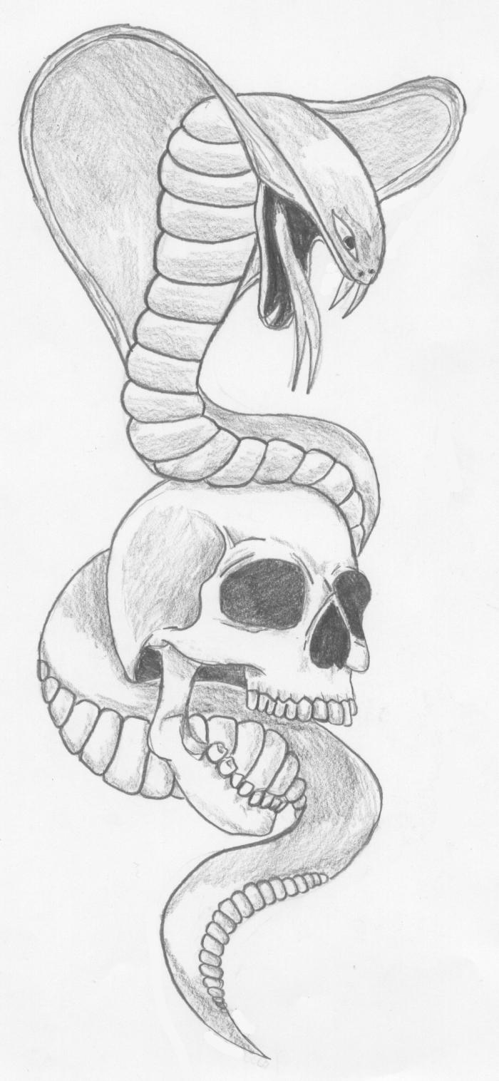 snake_and_skull_tattoo_by_zzzisch_1.jpg