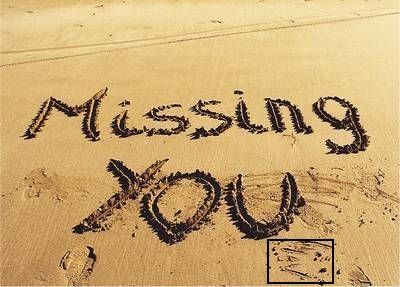 missing.jpg
