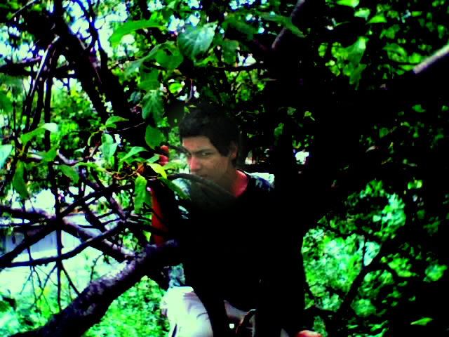 caqtus_44.jpg