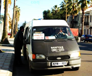 2875.jpg