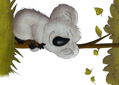 Koala_hugging_tree__flattened.jpg