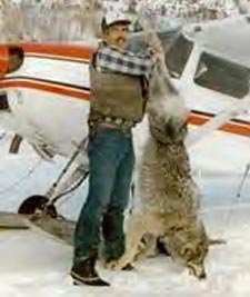 eolf.jpg