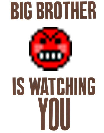 546_big_brother_is_watching_you4.jpg