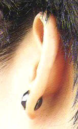 ear_1_.jpg