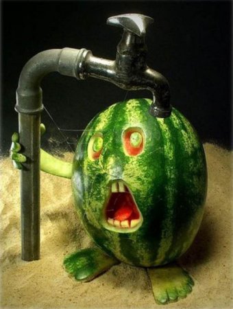1280316127_funny_melon.jpg