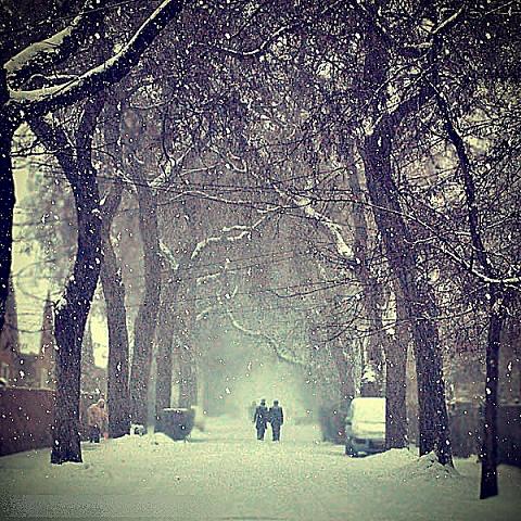 1292338589_love_in_the_snow_by_valyeszter.jpg