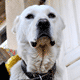 av_116272.gif