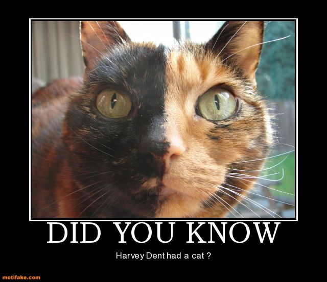 did_you_know_cat_demotivational_posters_1301428647.jpg