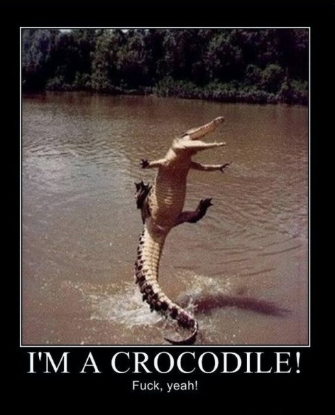 motivational_i_am_a_crocodile_fuck_yeah.jpg