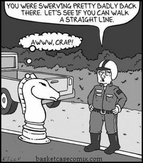 illegal_manoeuvre__img_1172_1_.jpg