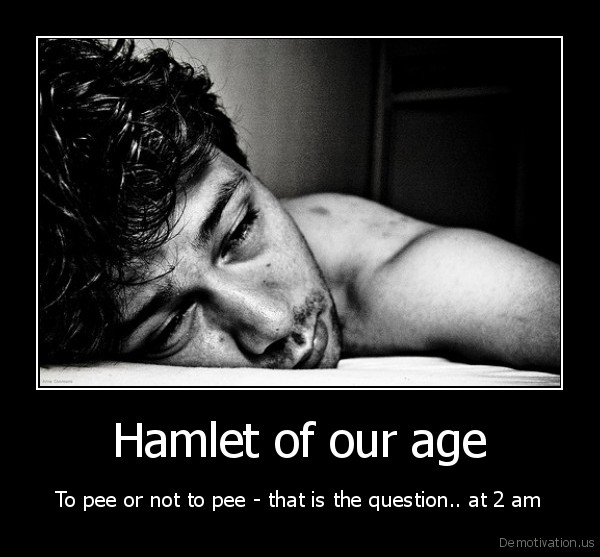 demotivation.us_Hamlet_of_our_age_To_pee_or_not_to_pee_that_is_the_question.._at_2_am_130194194079_1_.jpg