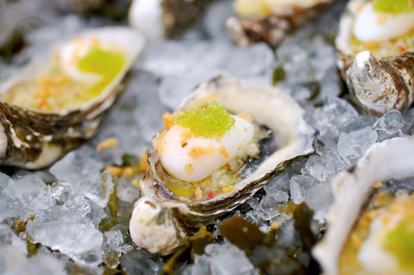 oysters.jpg