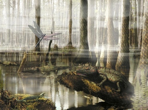carboniferous_swamp.jpg