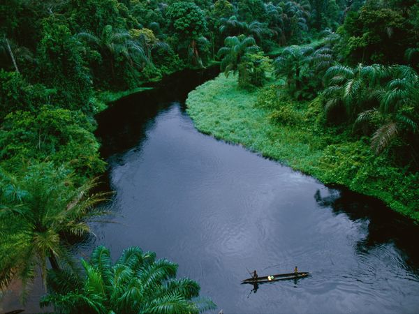 rain_forest_canoe_congo.jpg