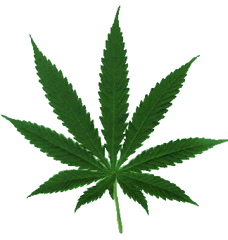 marijuana.gif