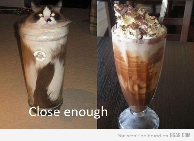cat_close_enough.jpg