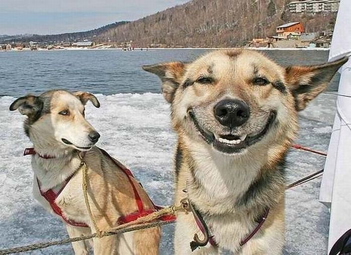 Smiling_People_and_Animals_17.jpg