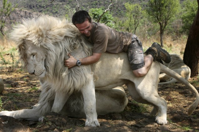 The_man_who_turns_lions_into_pussycats_The___Lion_Whisperer___takes_a_risky_ride_on_fearsome_animal_1.jpg