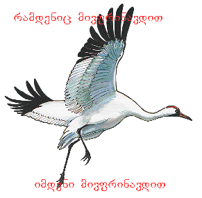 crane1.png