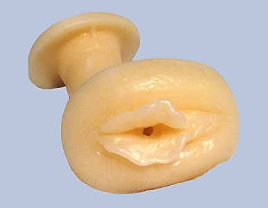 774px_artificial_vagina_3.jpg