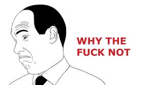 why_the_fuck_not.jpeg