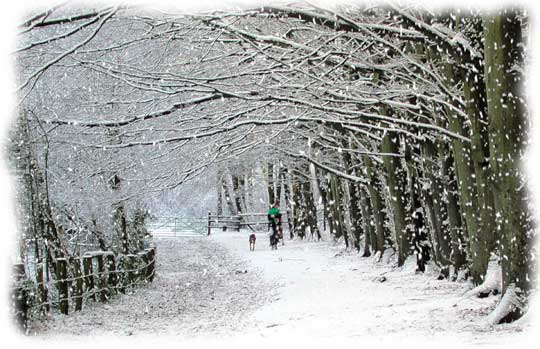 first_snow.jpg