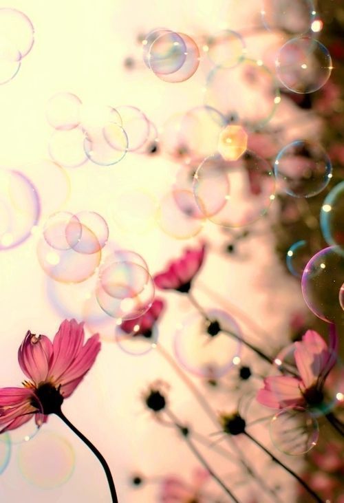 bubble_bubbles_flower_flowers_Favim.com_583584.jpg