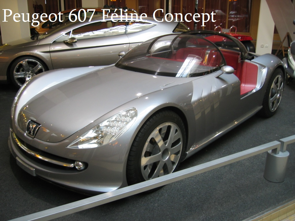 Peugeot_607_F__line.jpg