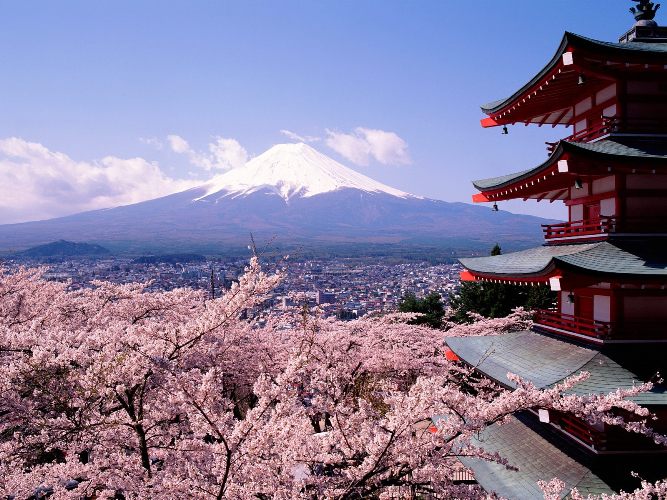 Fuji_Japan___Cherry_Blossoms_and_Mount.jpg