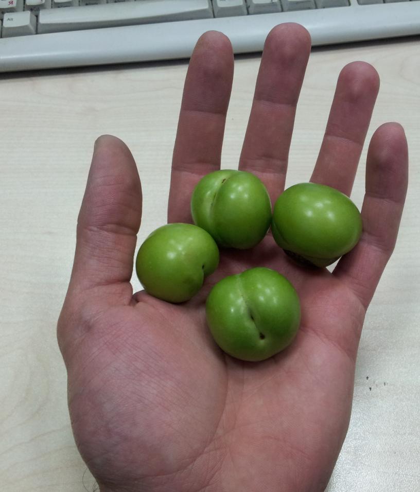 20130527_161548.jpg