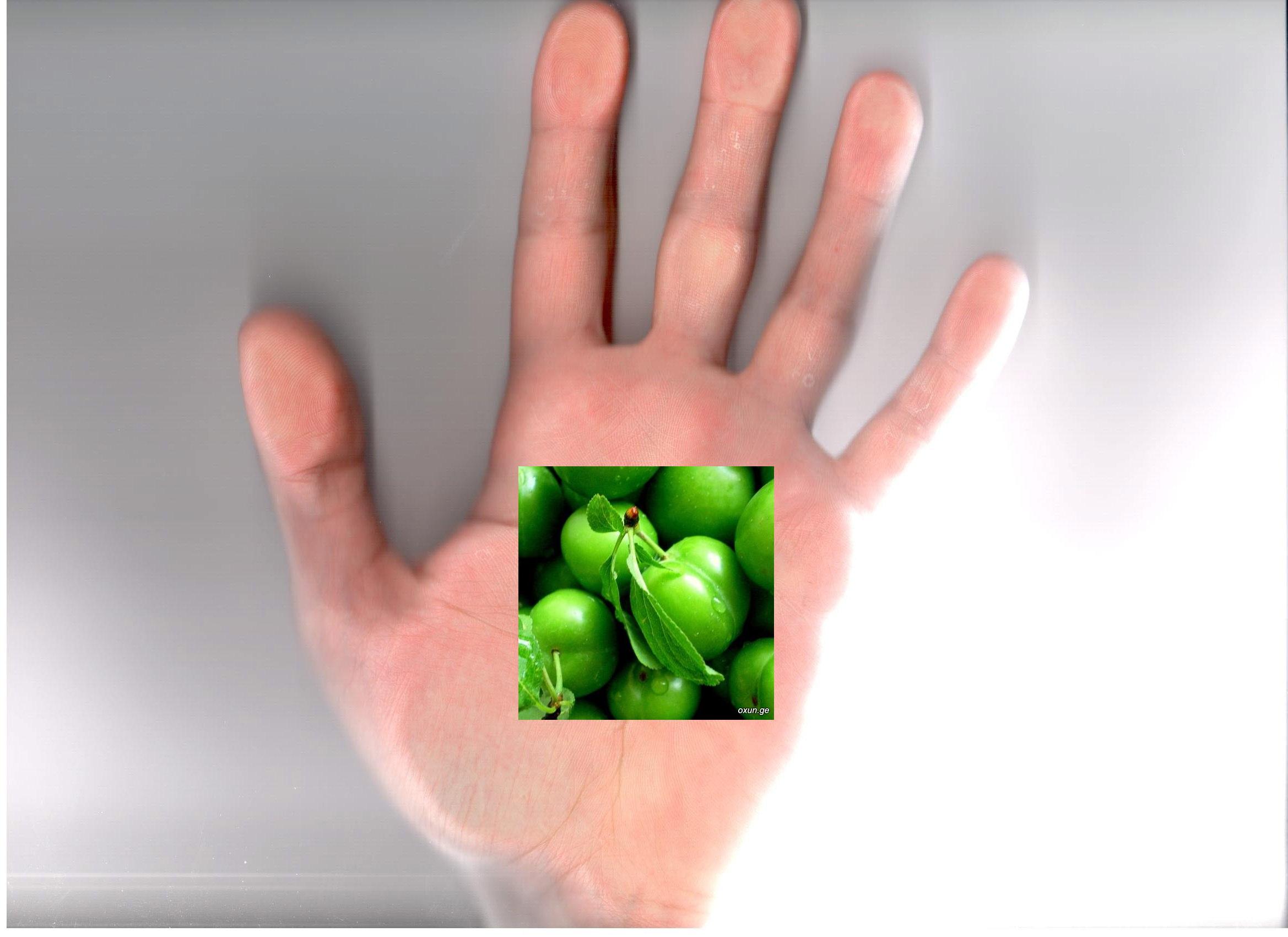 xeli.JPG