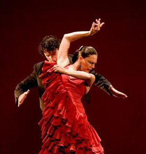 flamenco.jpg