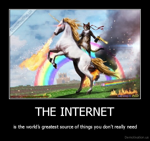 demotivation.us_THE_INTERNET_is_the_worlds_greatest_source_of_things_you_dont_really_need_136845838151.jpg