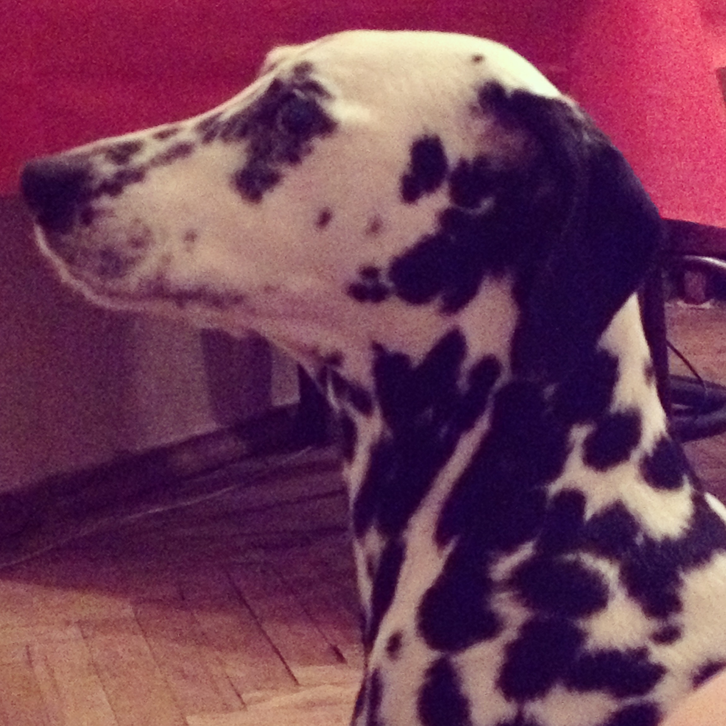 2013_07_30_23.21.11_1.jpg