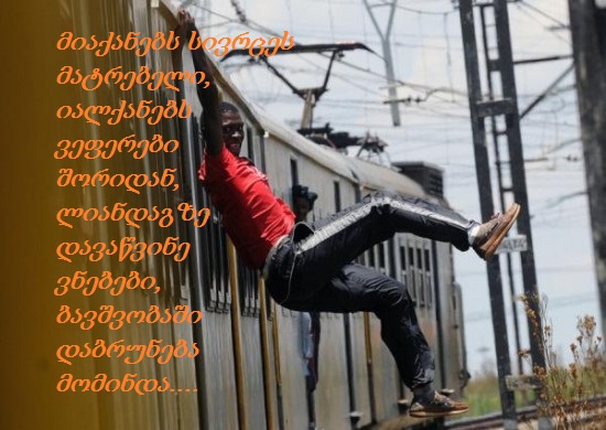 dlyakota.ru_video_negry_serfery_na_poezdah_1.jpeg