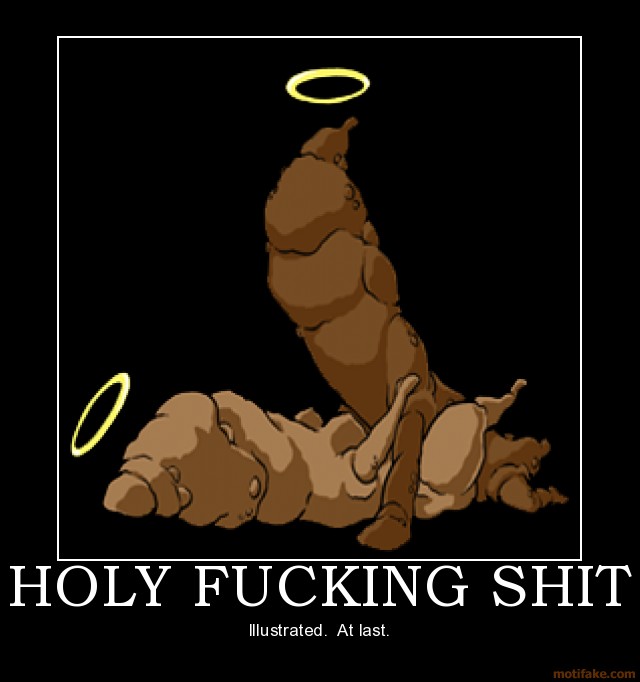 holy_fucking_shit_demotivational_poster_1227666231.png