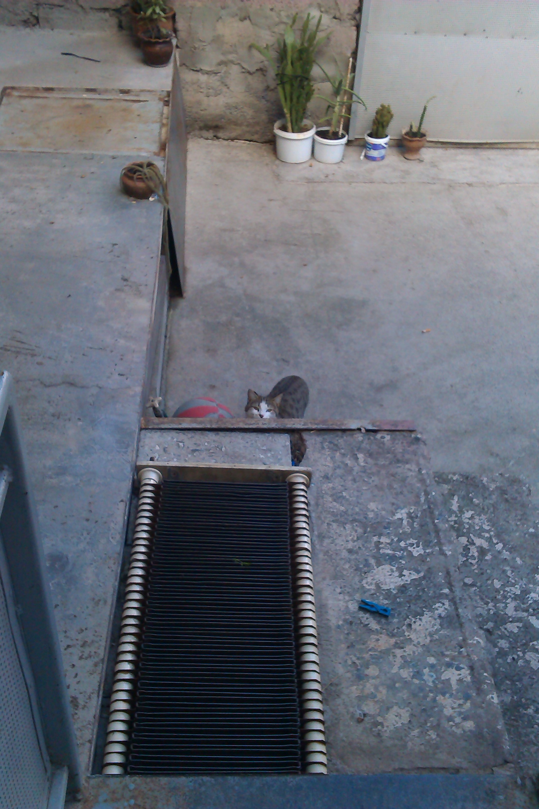 IMAG0268.jpg