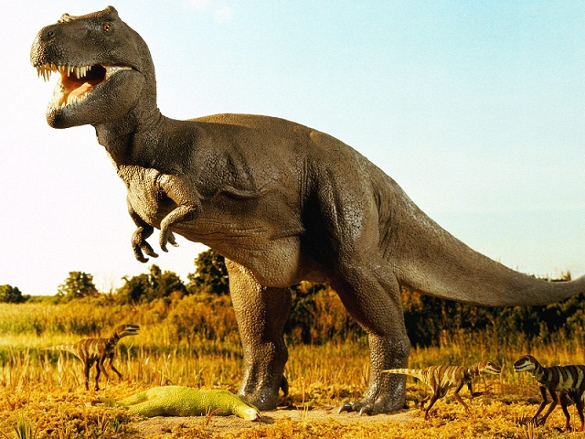 dino.jpg