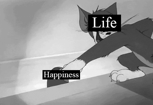 ednyh.gif