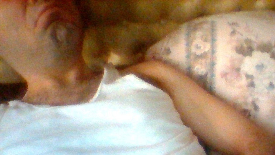 picture014.jpg