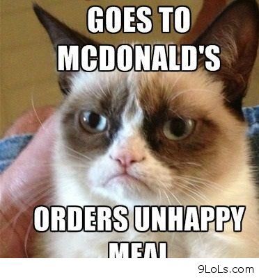 Funny_Cats_Top_49_Most_Funniest_Grumpy_Cat_Quotes_19.jpg