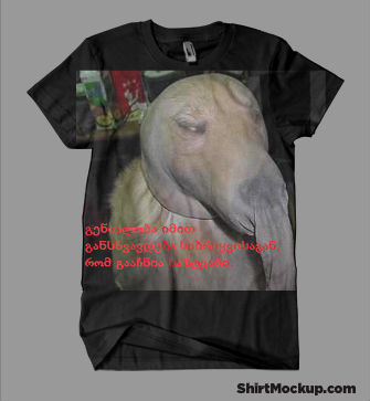 shirtmockup.jpg