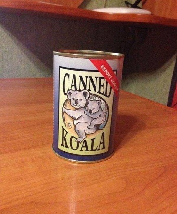 koala.jpg